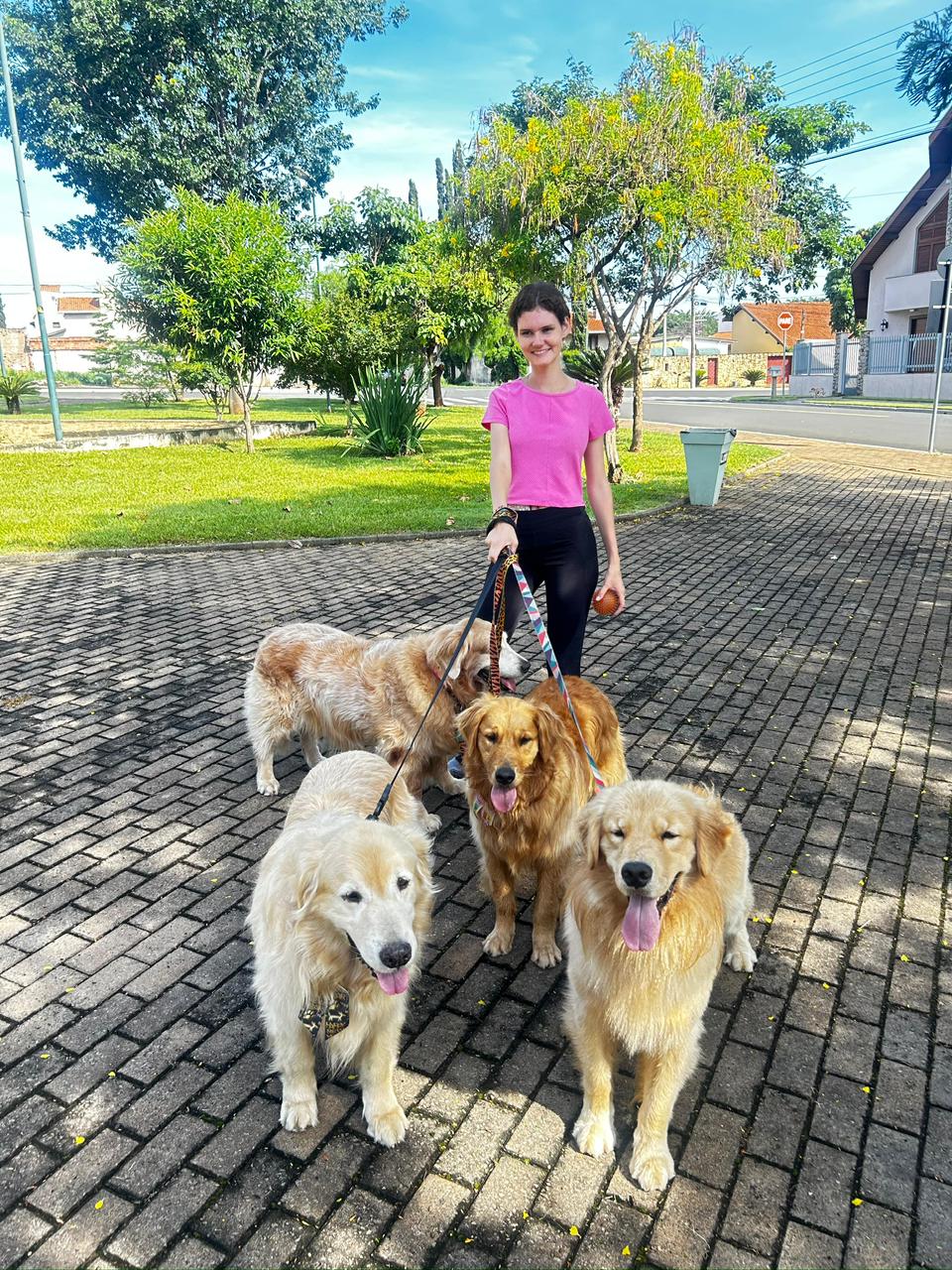 Júlia passeando com goldens nas visitas