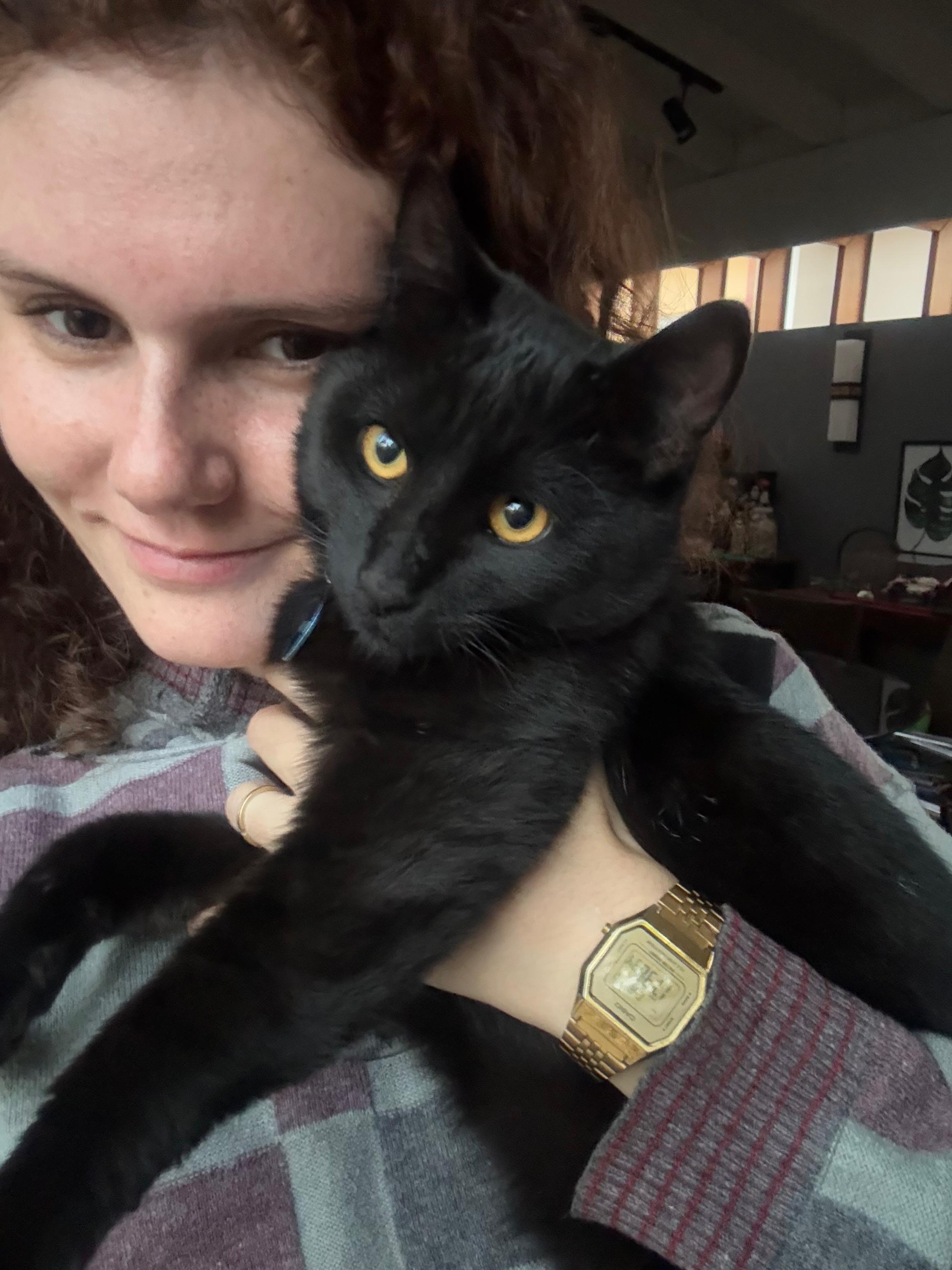 Gatinho preto no colo